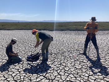 Overview image of data release