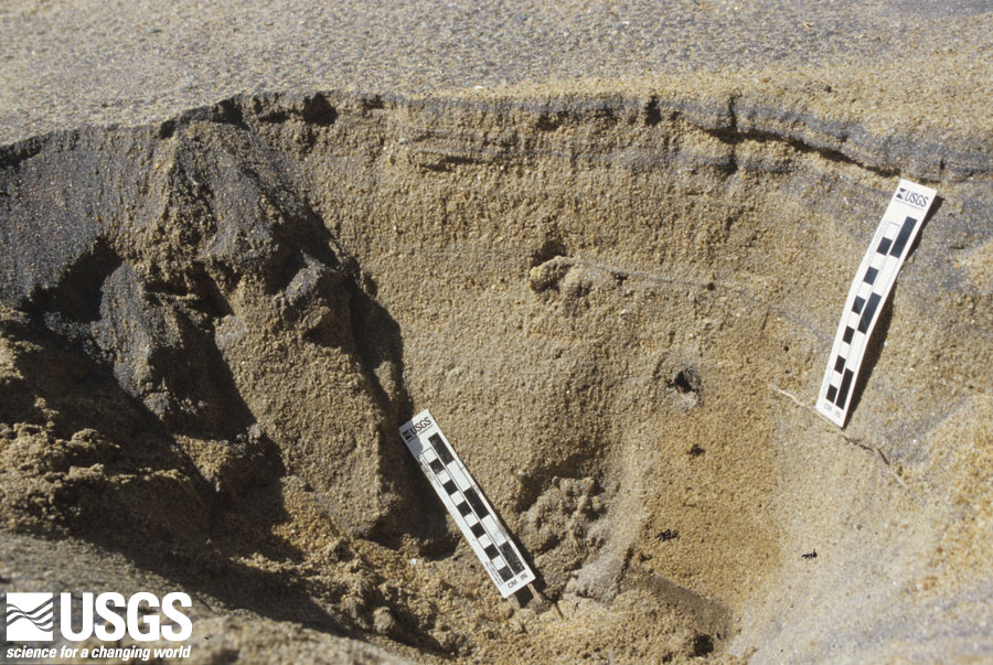 Photo in Katukurunda