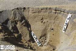 Photo in Katukurunda