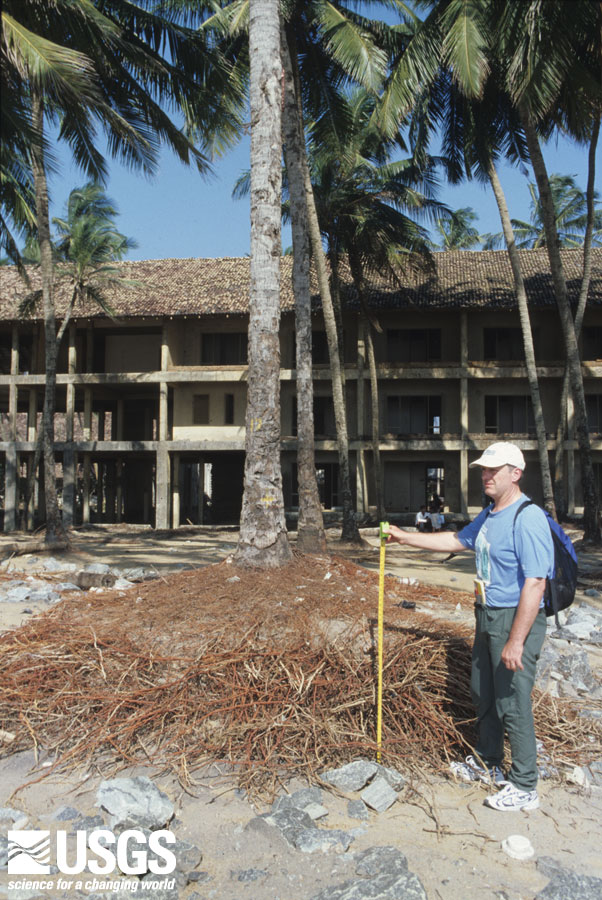 Photo in Katukurunda