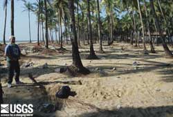 Photo in Katukurunda