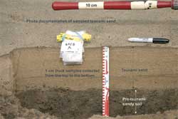 Photo, see caption at right, click for larger version