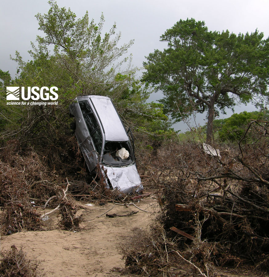 Photo, car in the trees
