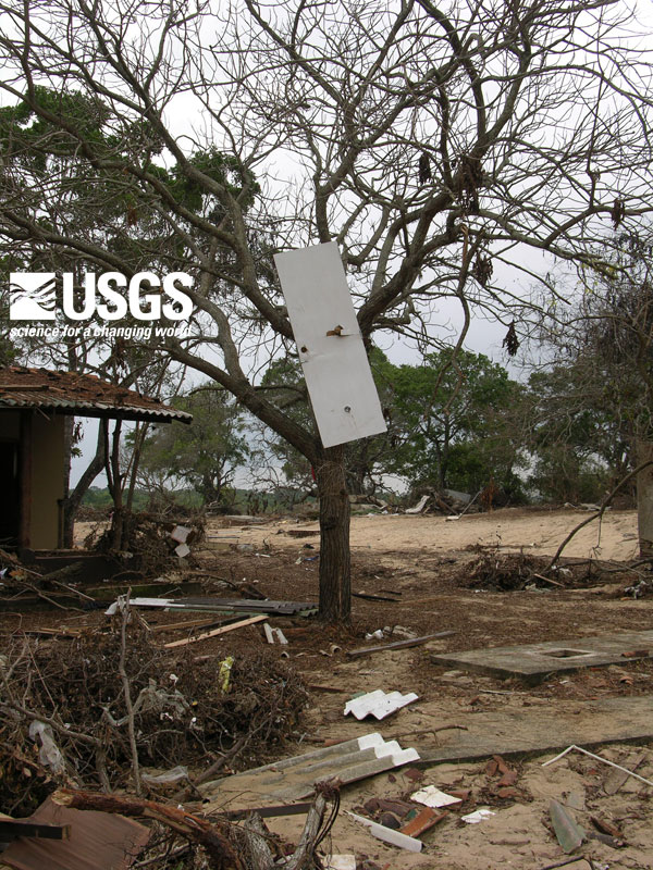 Photo, door in tree, Yala