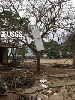 Photo, Yala, see caption at right, see larger image at 231 kb