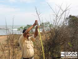 Photo, measuring water level
