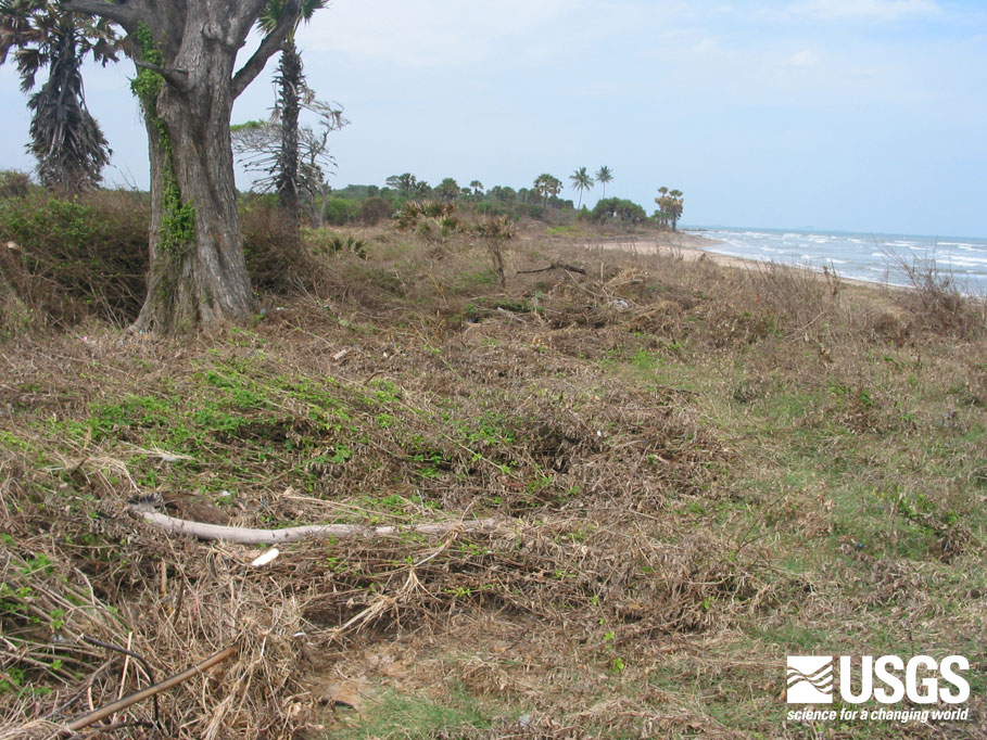 Photo, view at Ibral Nagar Nalaveli