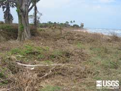 Photo from Ibral Nagar Nalaveli