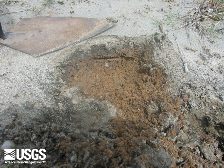 Photo, sand deposit at Ibral Nagar Nalaveli