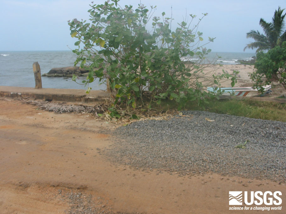 Photo in Kuchchaveli