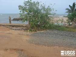 Photo from 2 km SE of Kuchchaveli