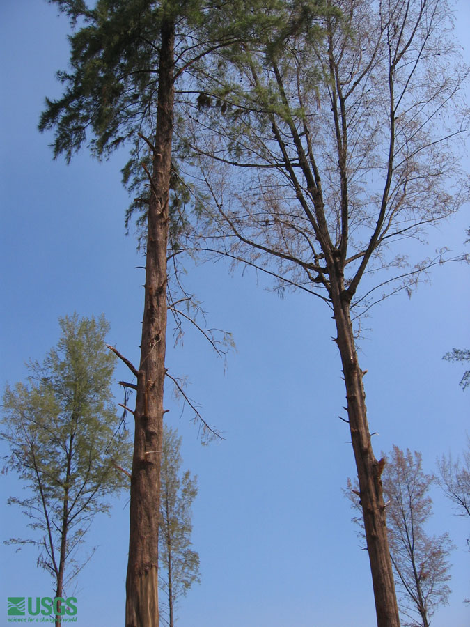 Photo in Lho Nga, see caption above