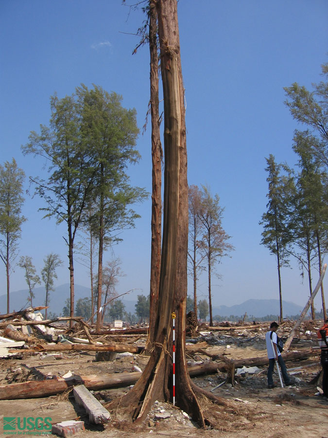 Photo in Lho Nga, see caption above