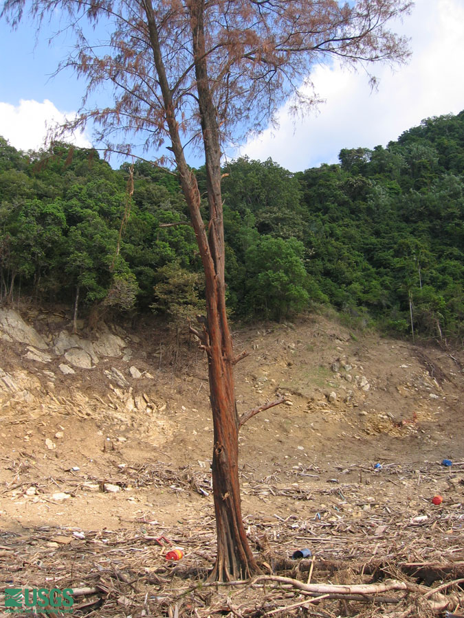 Photo in Lho Nga, see caption above