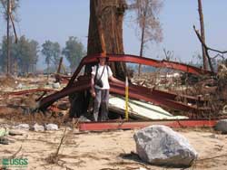 Photo of ITST member Raphael Paris standing in front of steel beams wrapped around a tree by the force of the tsunami.