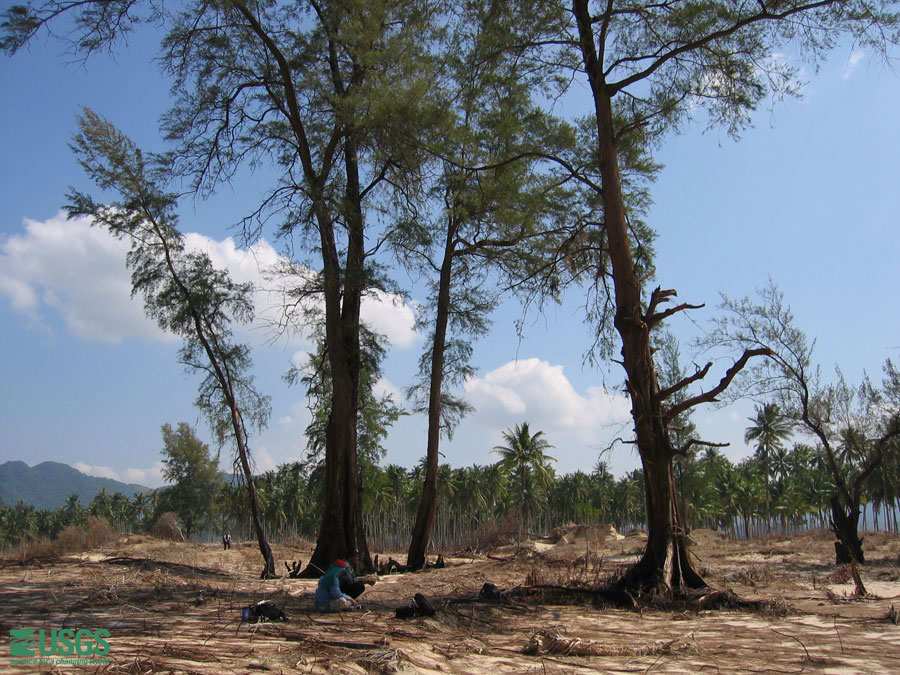 Photo in Lampuuk, see caption above.