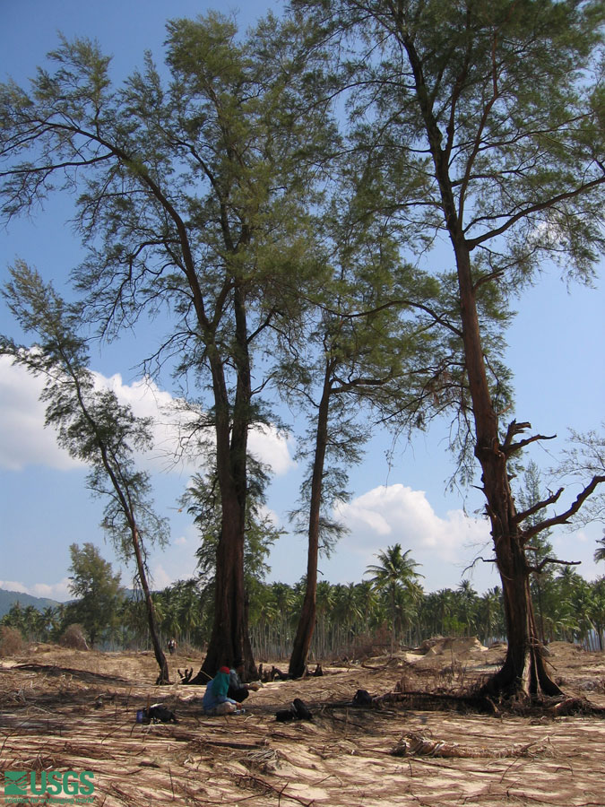 Photo in Lampuuk, see caption above.