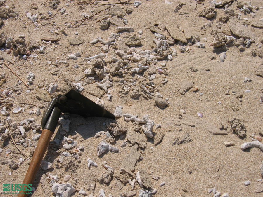 Photo in Lampuuk, see caption above.