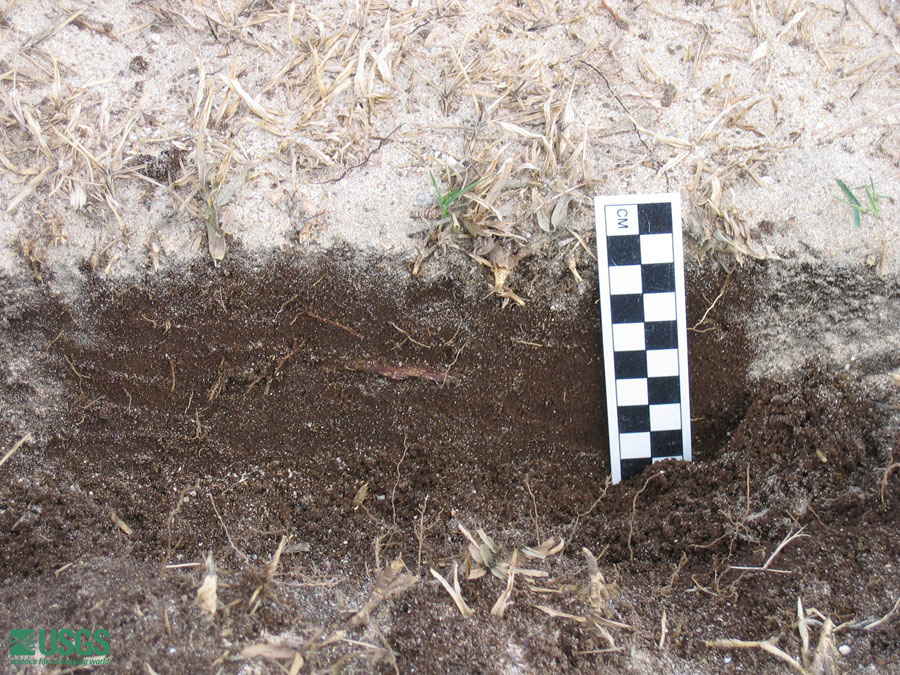 Photo in Lampuuk, see caption above.