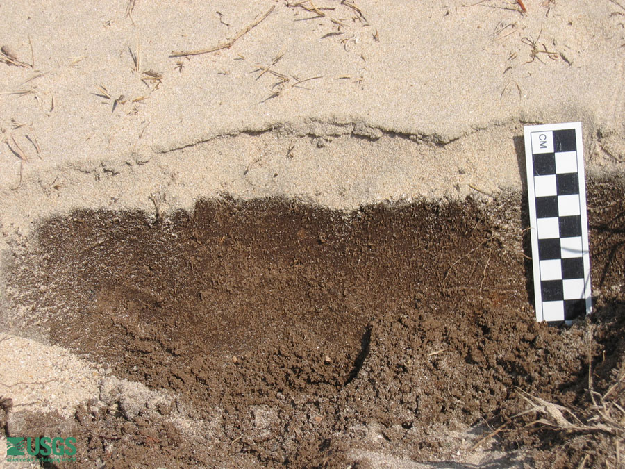 Photo in Lampuuk, see caption above.