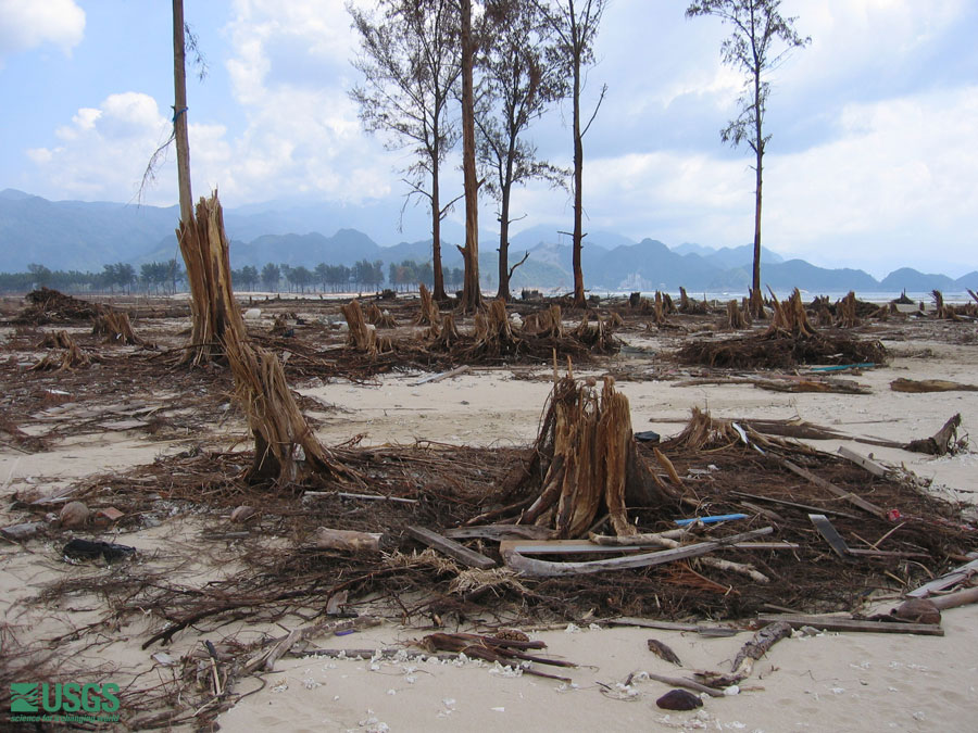 Photo in Lampuuk, see caption above.