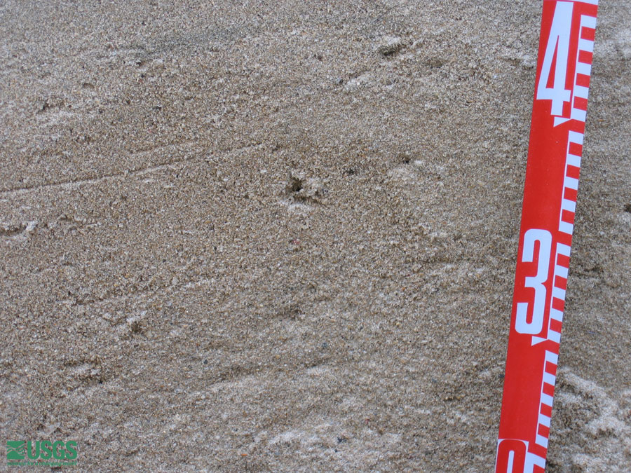 Photo in Lampuuk, see caption above.