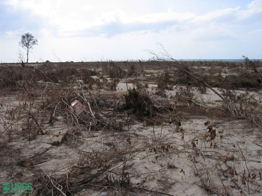 Photo in Lampuuk, see caption above.