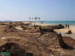 new beach forming near Lampuuk