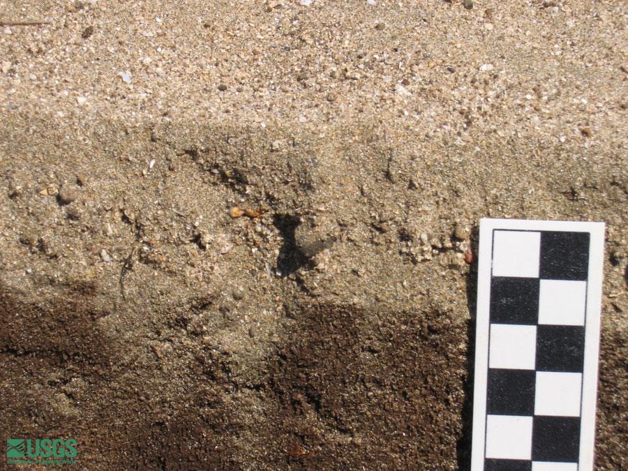 Photo near Seaside Resort Hotel, see caption above