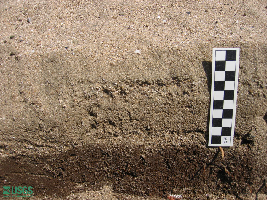 Photo near Seaside Resort Hotel, see caption above