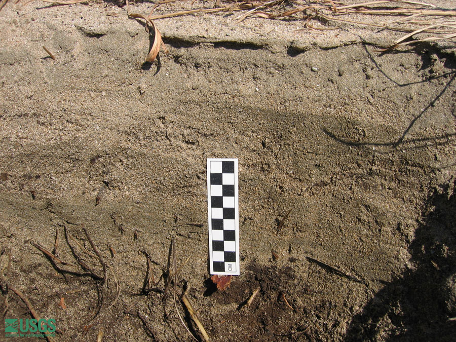 Photo near Seaside Resort Hotel, see caption above