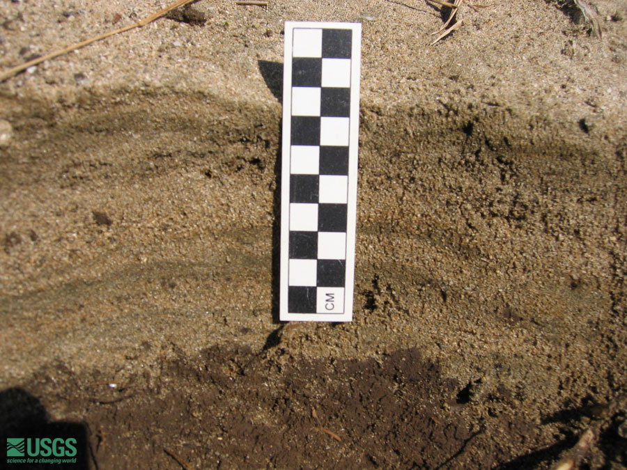 Photo near Seaside Resort Hotel, see caption above