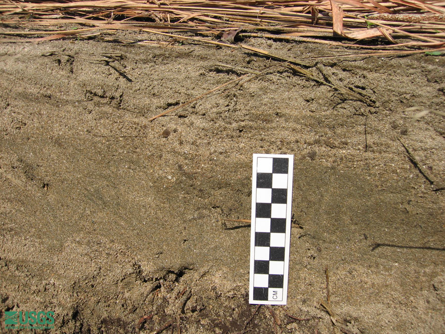 Photo near Seaside Resort Hotel, see caption above