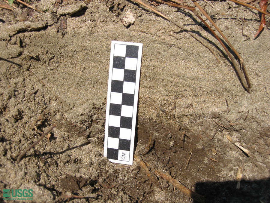 Photo near Seaside Resort Hotel, see caption above