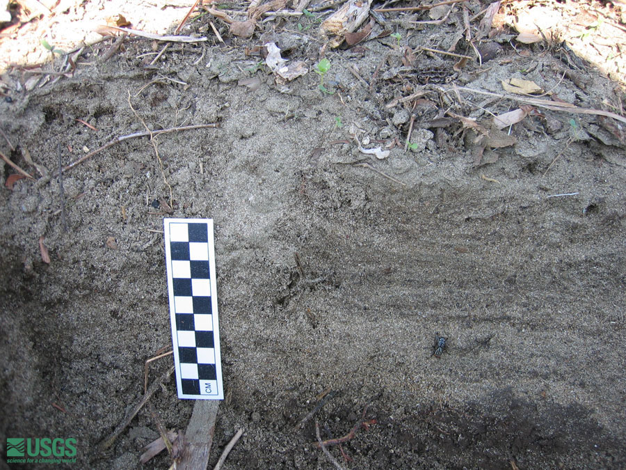 Photo near Seaside Resort Hotel, see caption above