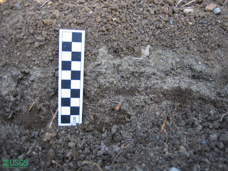 Photo near Seaside Resort Hotel, see caption above