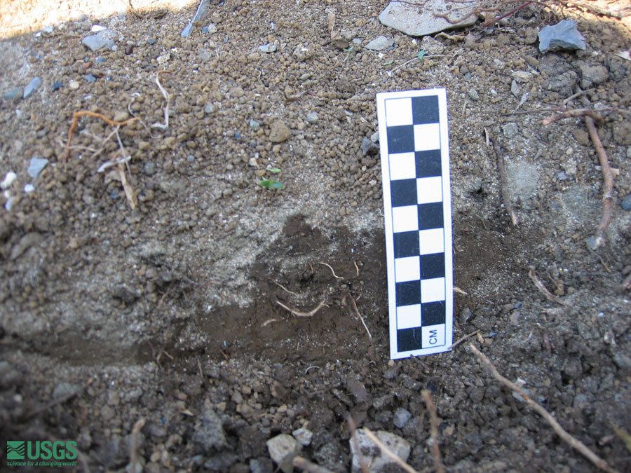 Photo near Seaside Resort Hotel, see caption above