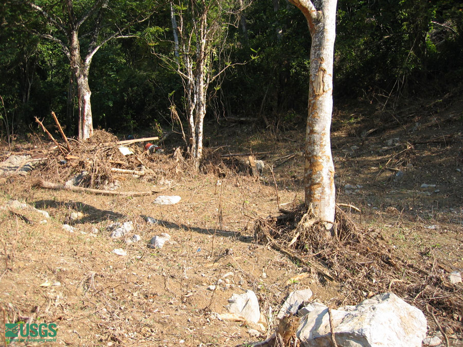 Photo near Seaside Resort Hotel, see caption above