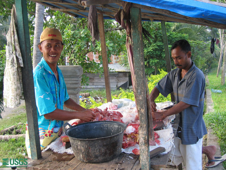 Photo in Banda Aceh, see caption above