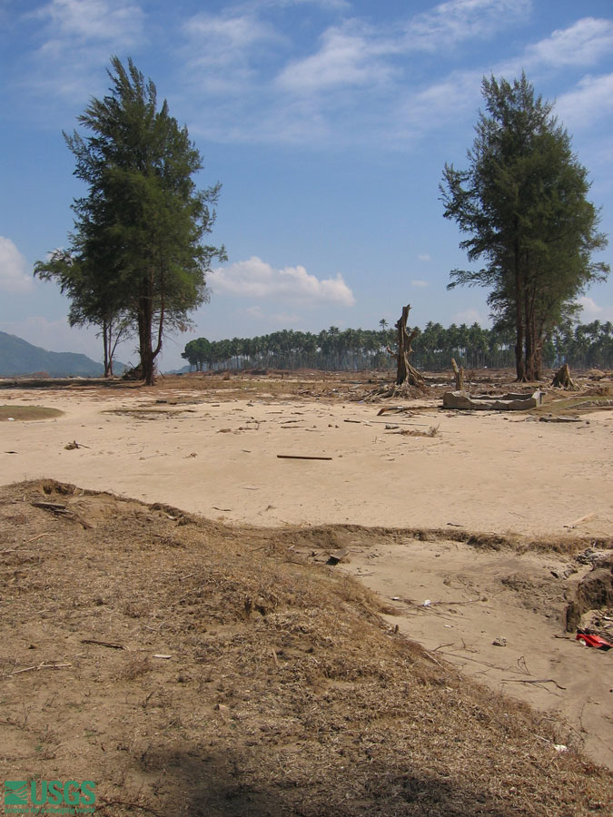 Photo at the Lampuuk golf course survey site, see caption above