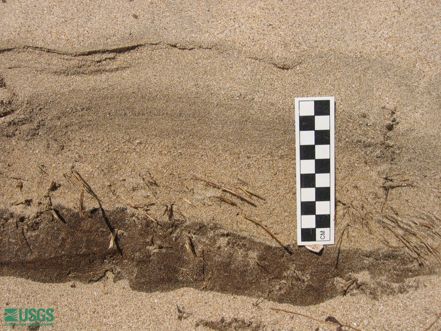 Photo at the Lampuuk golf course survey site, see caption above