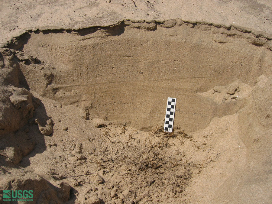 Photo at the Lampuuk golf course survey site, see caption above