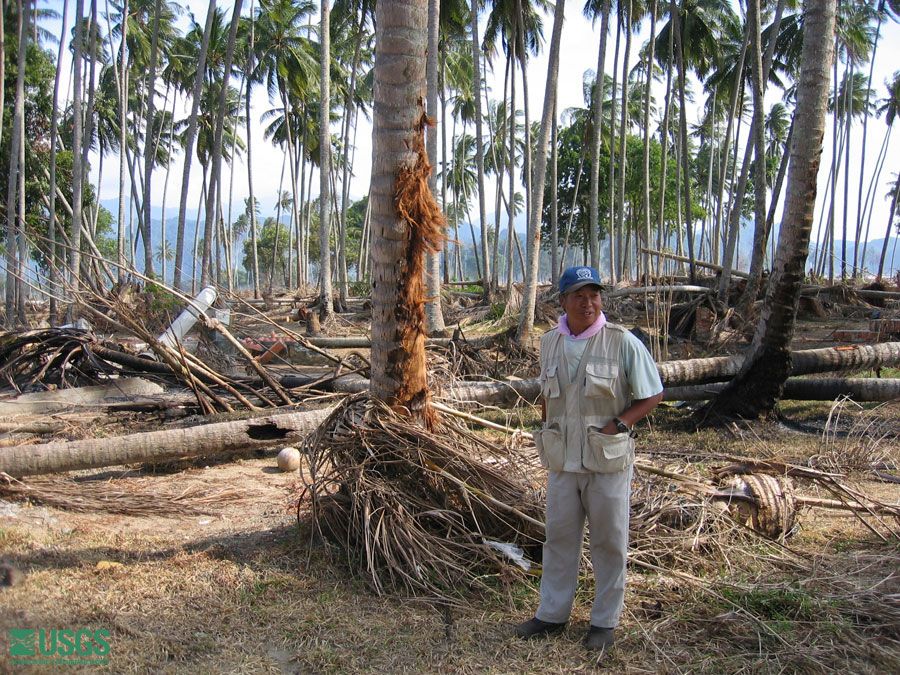 Photo at the Lampuuk golf course survey site, see caption above