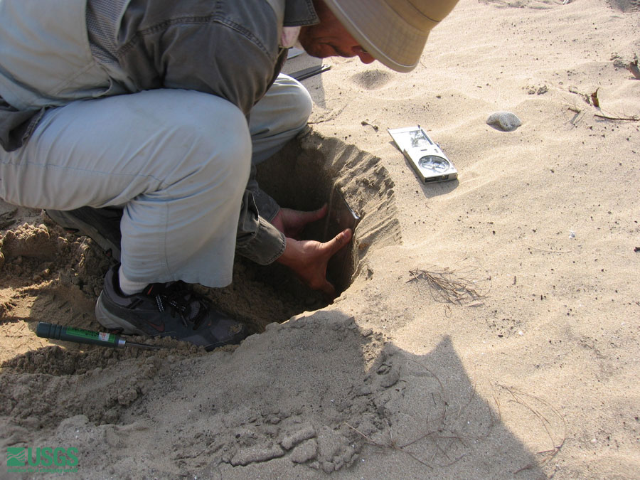 Photo at the Lampuuk golf course survey site, see caption above