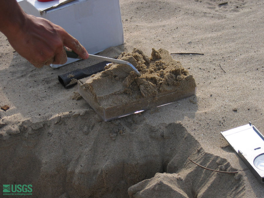 Photo at the Lampuuk golf course survey site, see caption above