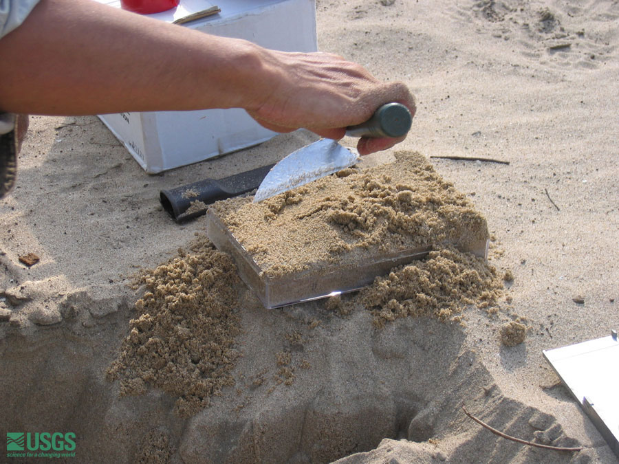 Photo at the Lampuuk golf course survey site, see caption above