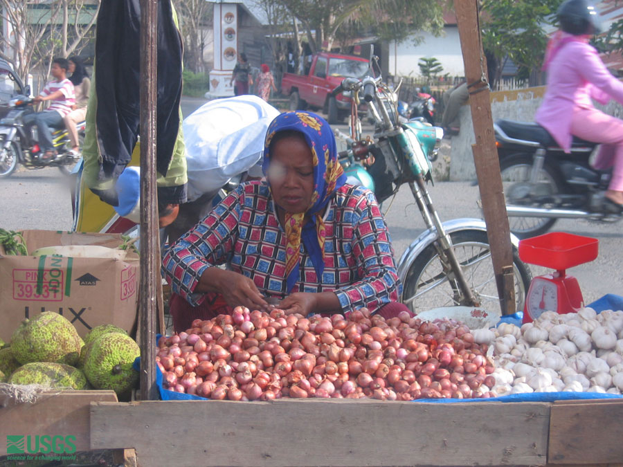 Photo in Sumatra, see caption above