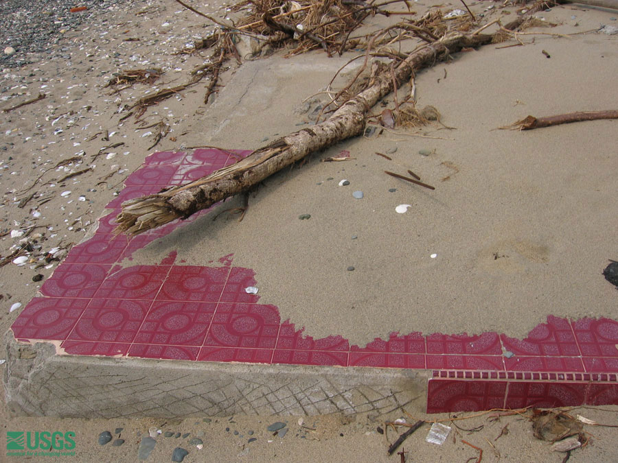 Photo in Sumatra, see caption above