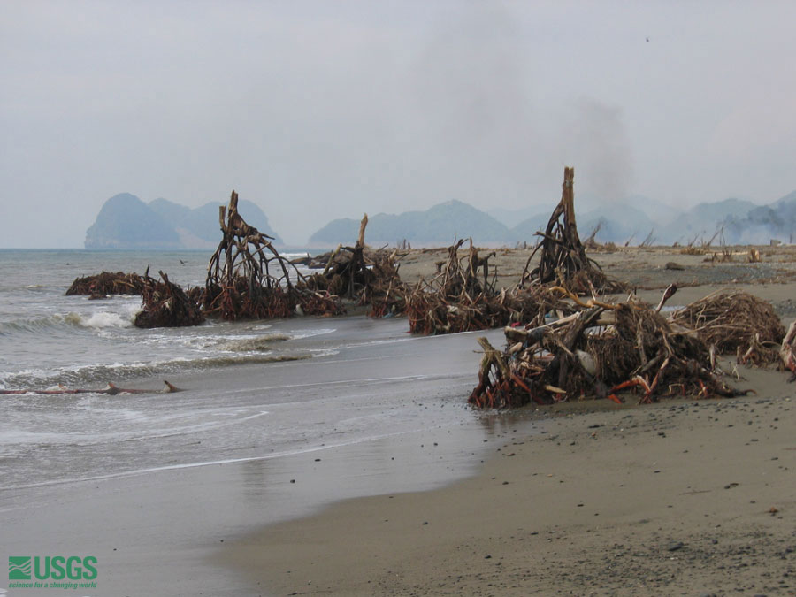 Photo in Sumatra, see caption above