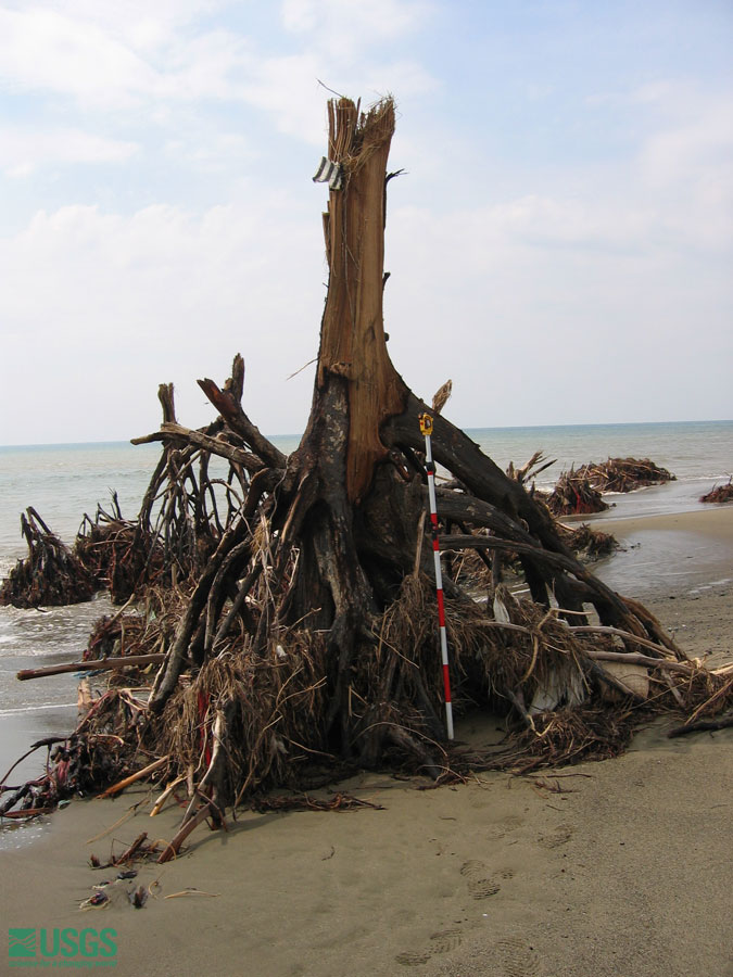 Photo in Sumatra, see caption above